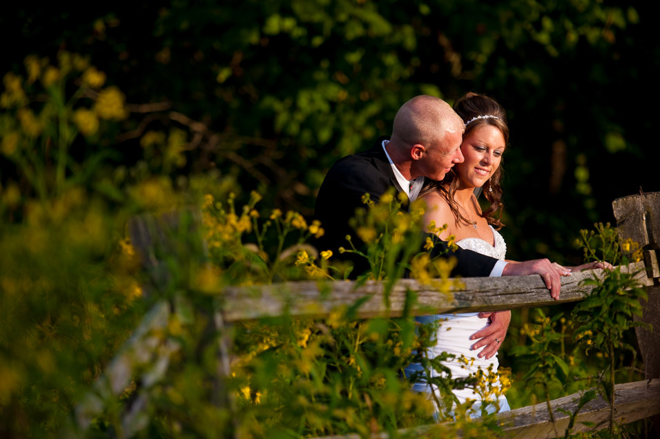 benedict haid farm wedding pictures_